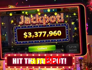 A Experiência Imersiva dos Cassinos Ao Vivo no ambet